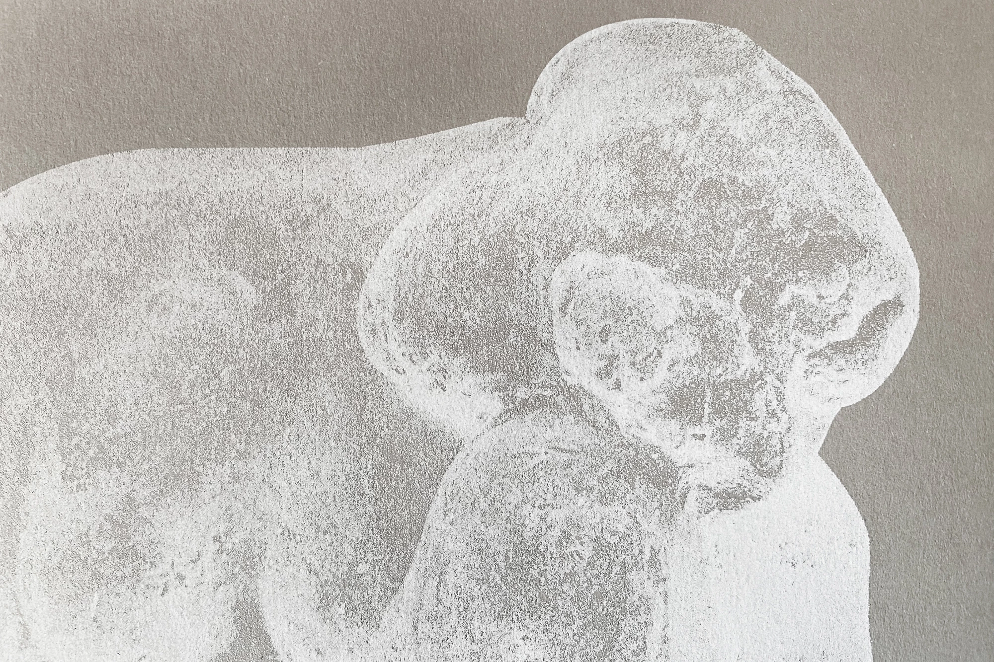 Léo Grunstein - Maillol, Musée d’Orsay, Gallimard, Édition, 2022