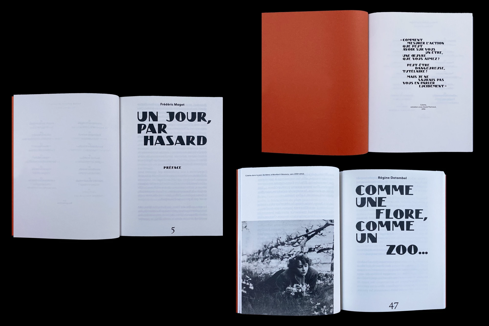 Léo Grunstein - Découvertes. Tributes to Colette, Société des amis de Colette, Publication, 2025