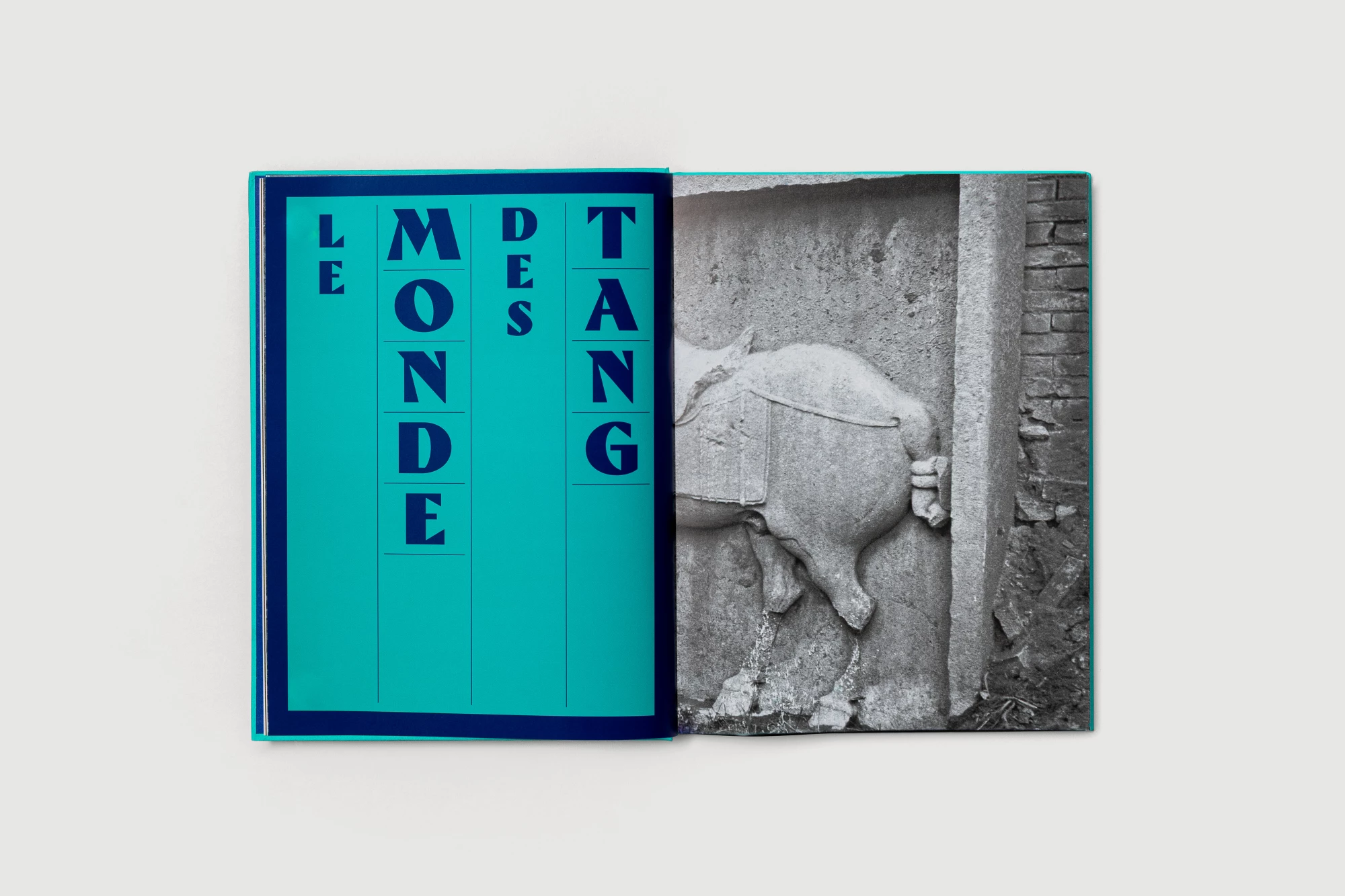Léo Grunstein - La Chine des Tang, Musée Guimet, GrandPalaisRmn éditions, Édition, 2024