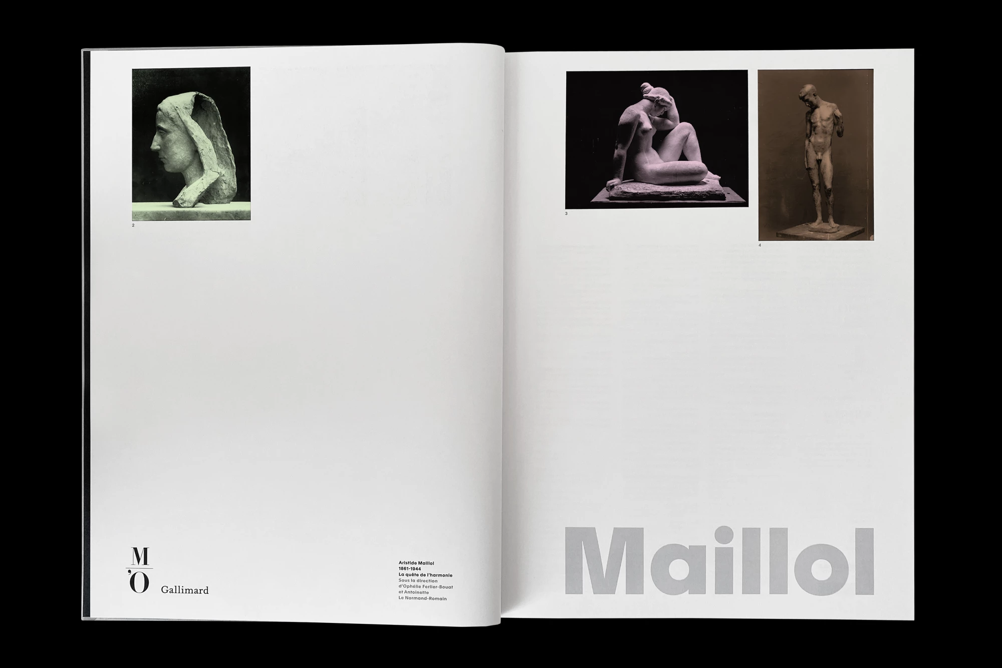 Léo Grunstein - Maillol, Musée d’Orsay, Gallimard, Édition, 2022