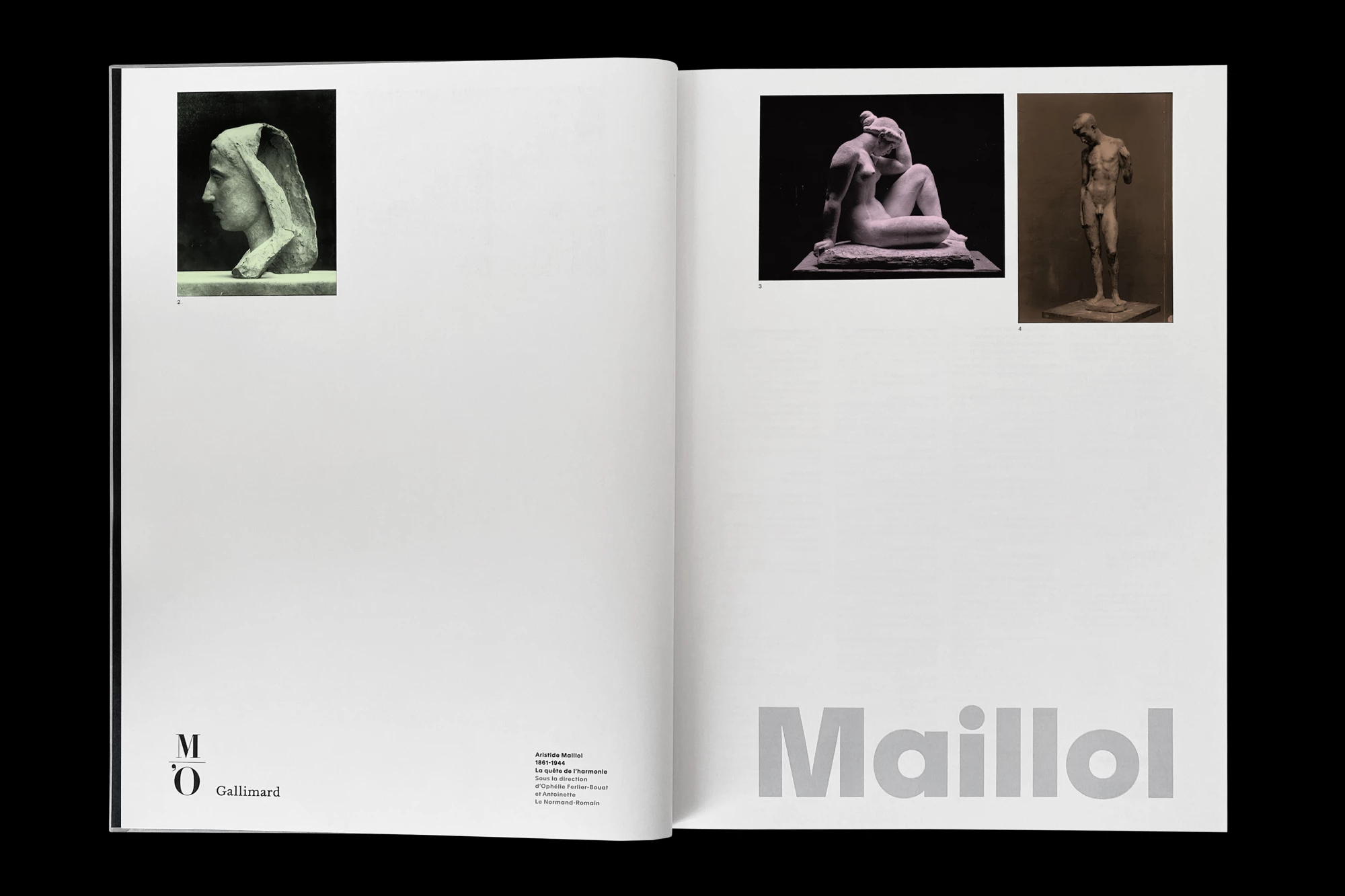Léo Grunstein - Maillol, Musée d’Orsay, Gallimard, Publication, 2022