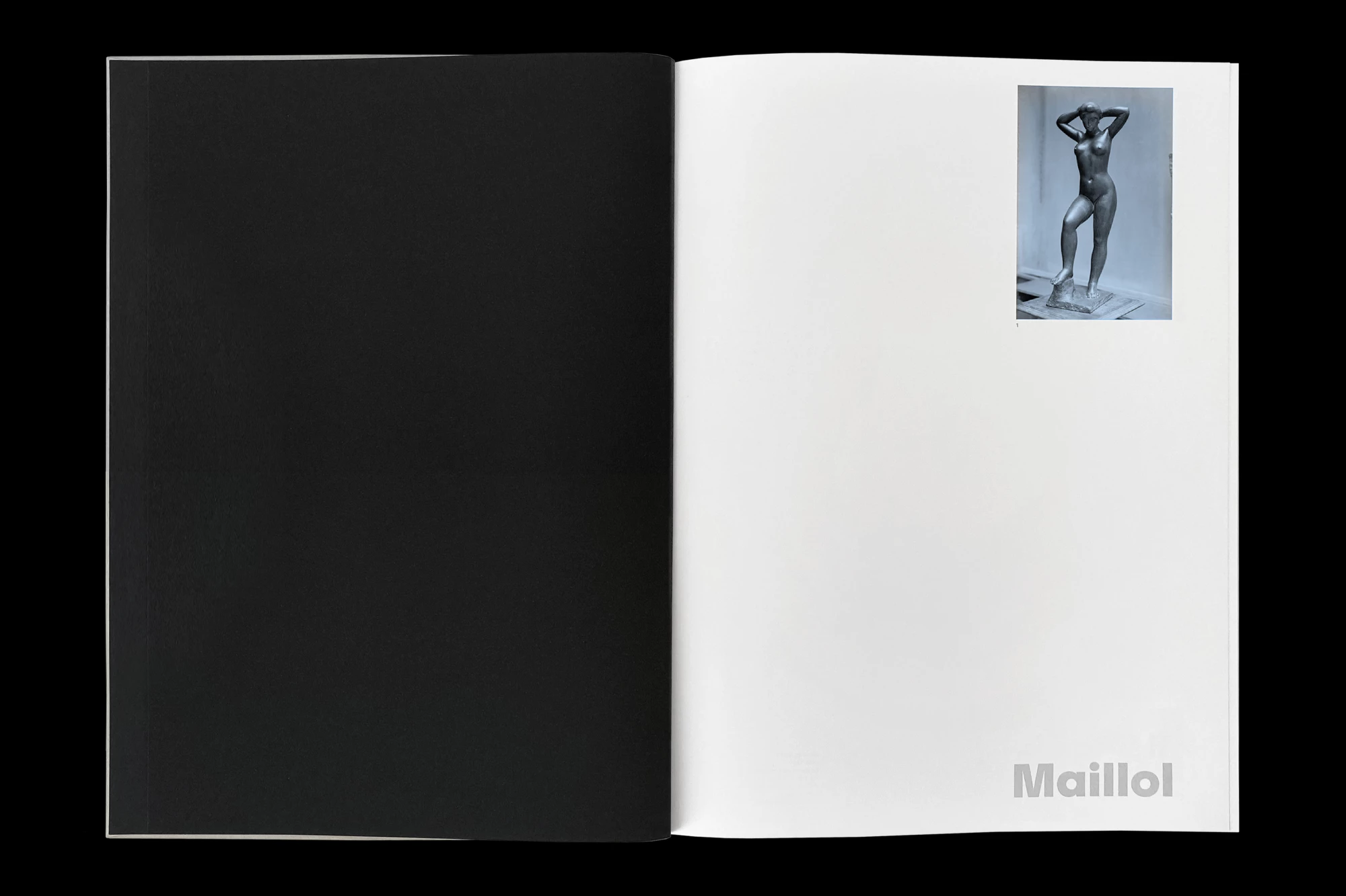 Léo Grunstein - Maillol, Musée d’Orsay, Gallimard, Publication, 2022