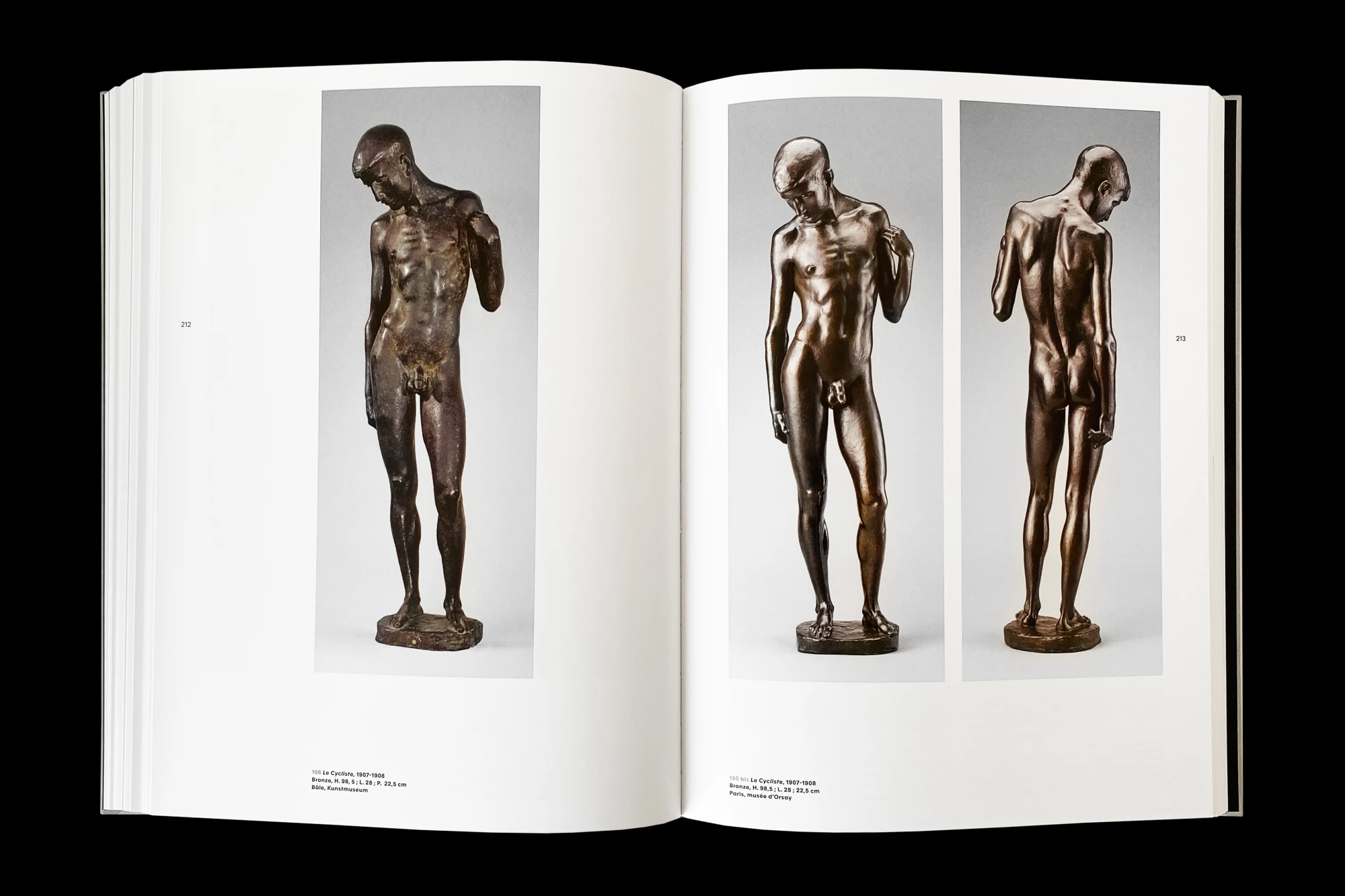 Léo Grunstein - Maillol, Musée d’Orsay, Gallimard, Édition, 2022