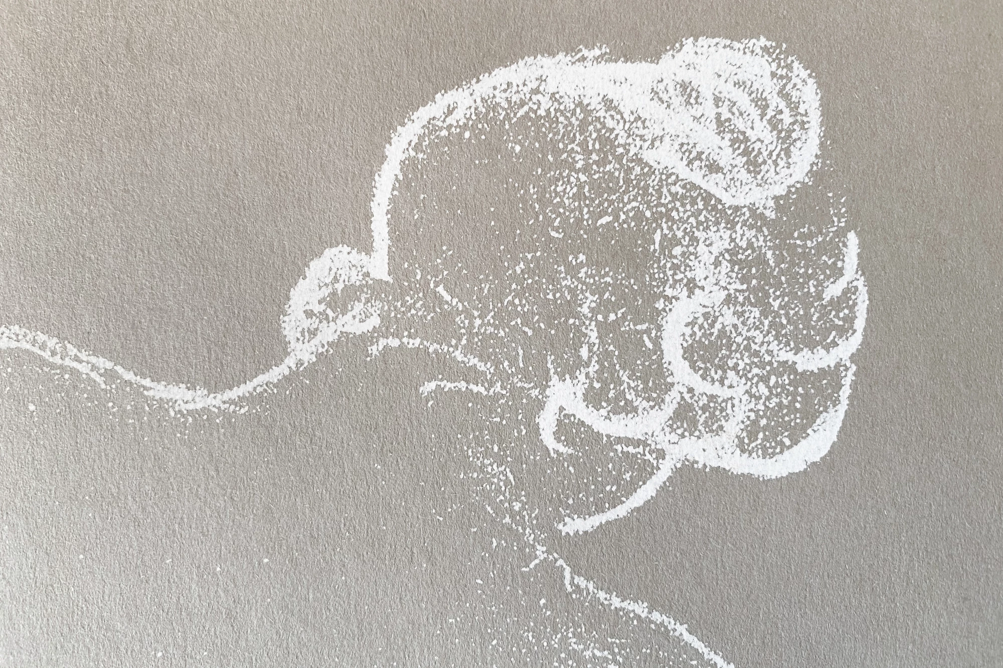 Léo Grunstein - Maillol, Musée d’Orsay, Gallimard, Publication, 2022