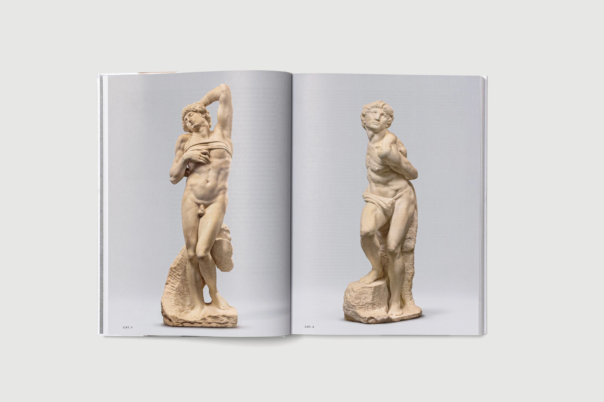 Léo Grunstein - Michel-Ange Rodin. Corps vivants, Musée du Louvre, Gallimard, Édition, 2026