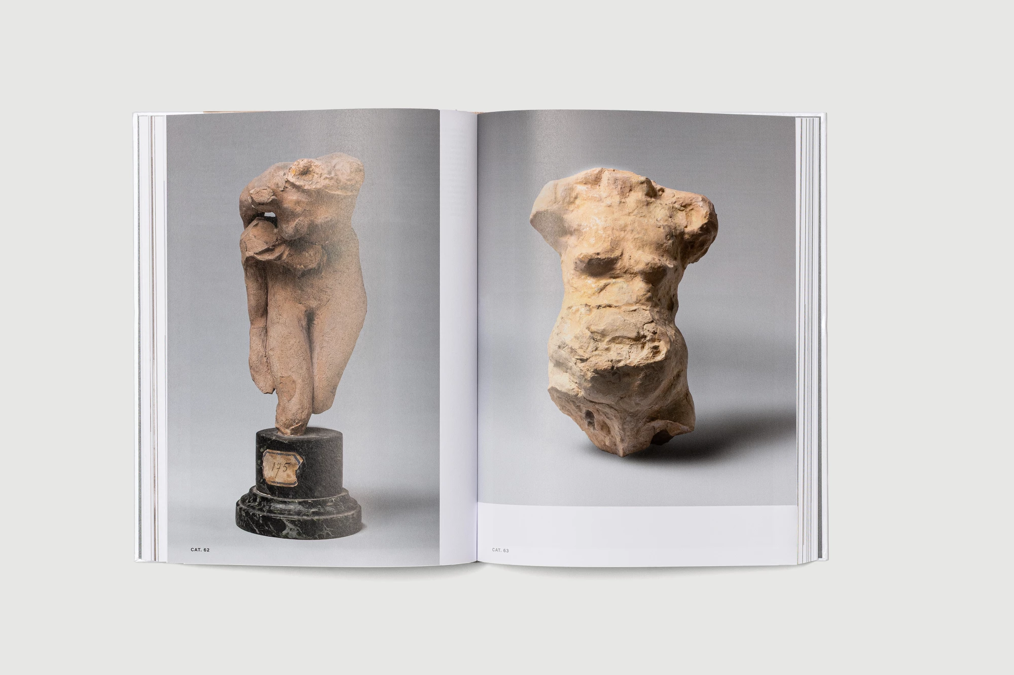Léo Grunstein - Michel-Ange Rodin. Corps vivants, Musée du Louvre, Gallimard, Édition, 2026