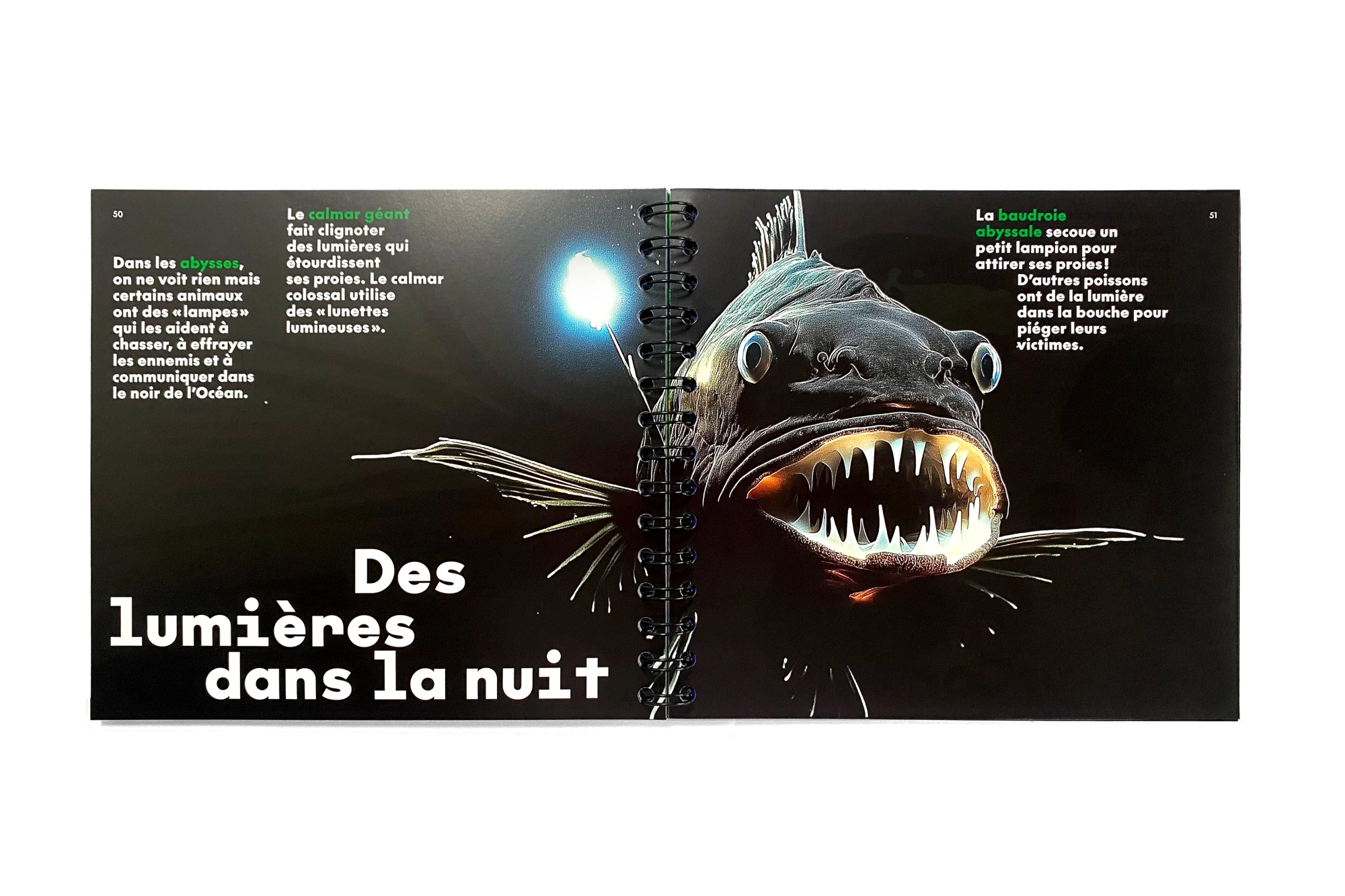 Léo Grunstein - Miguel Chevalier, Digital Abysses, Musée en Herbe, Skira Paris, Édition, 2025