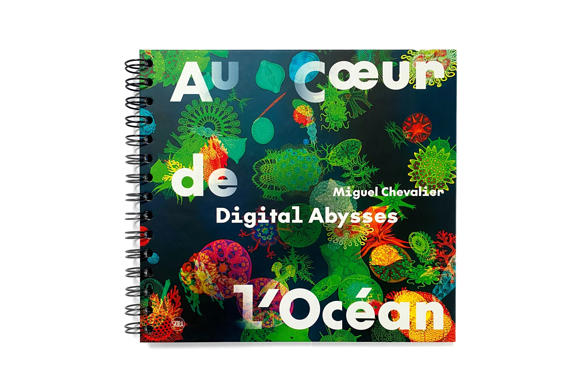 Léo Grunstein - Miguel Chevalier, Digital Abysses, Musée en Herbe, Skira Paris, Édition, 2025