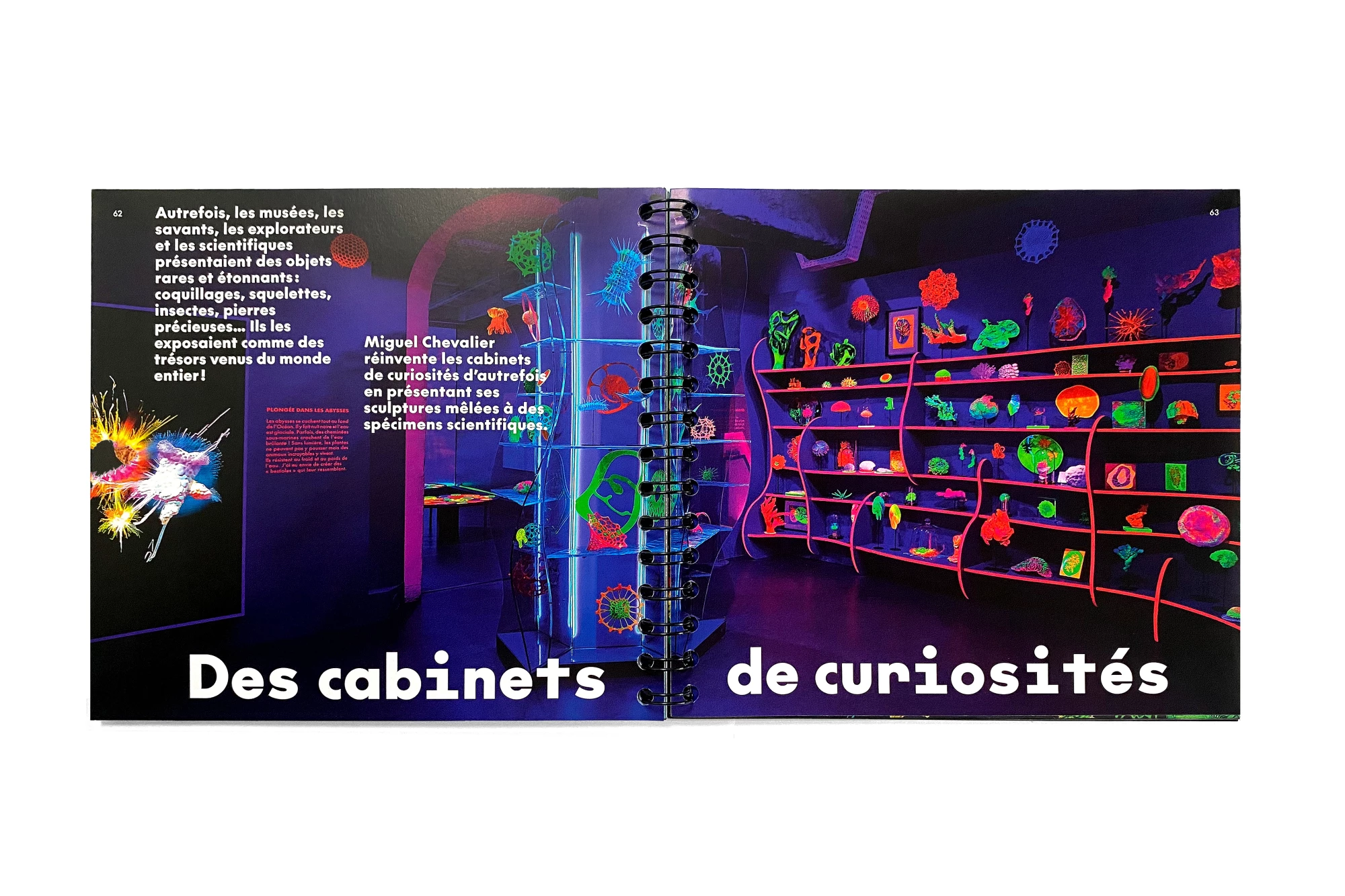 Léo Grunstein - Miguel Chevalier, Digital Abysses, Musée en Herbe, Skira Paris, Édition, 2025