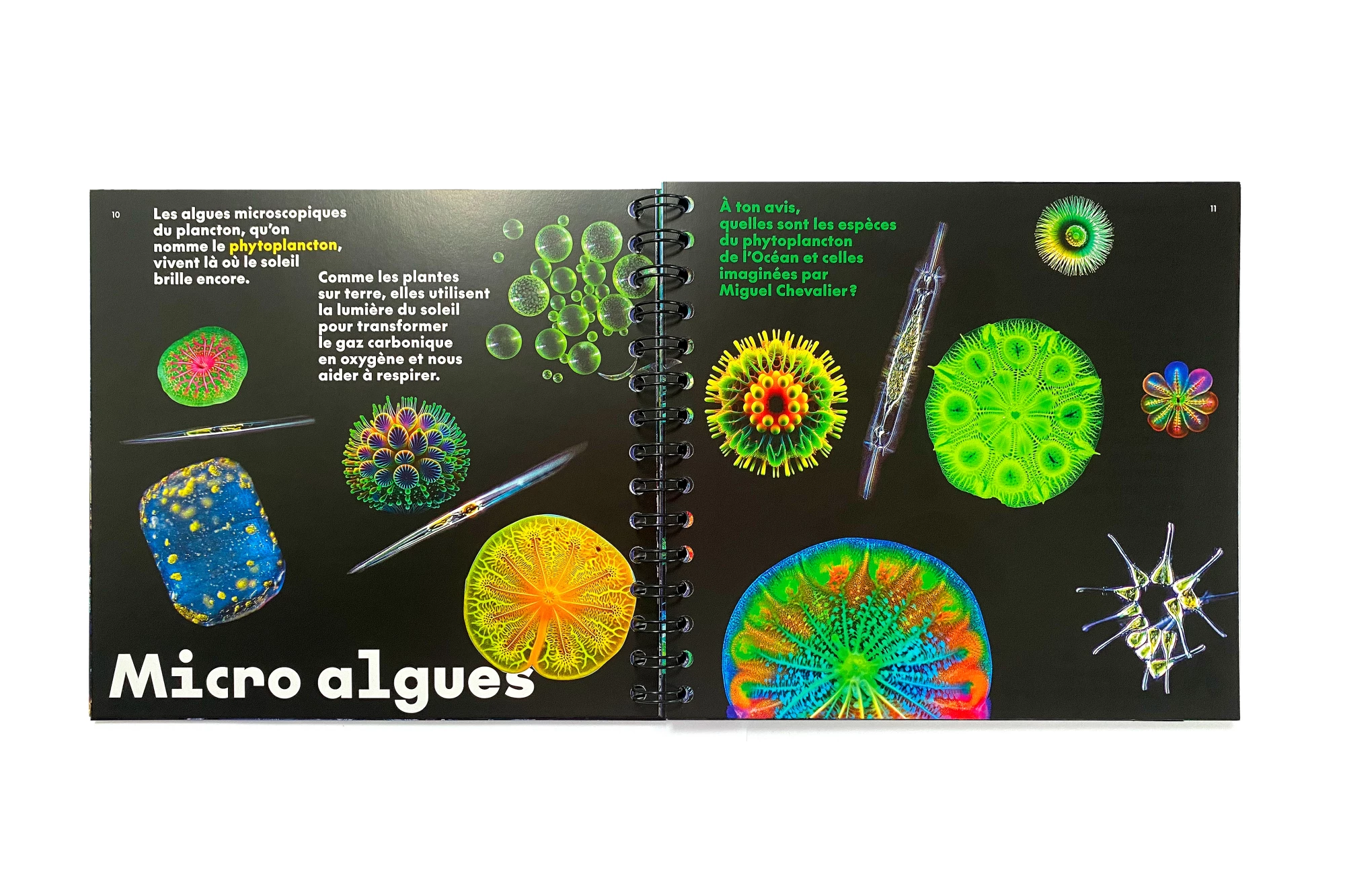 Léo Grunstein - Miguel Chevalier, Digital Abysses, Musée en Herbe, Skira Paris, Édition, 2025