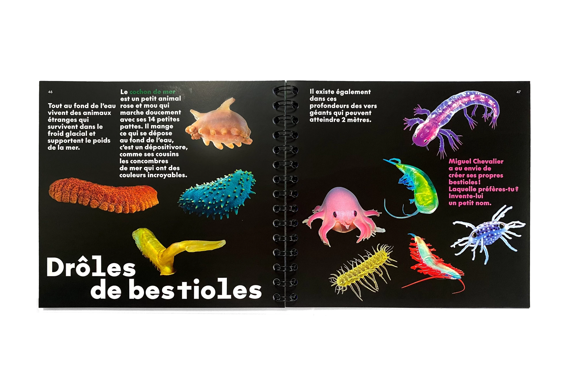 Léo Grunstein - Miguel Chevalier, Digital Abysses, Musée en Herbe, Skira Paris, Édition, 2025