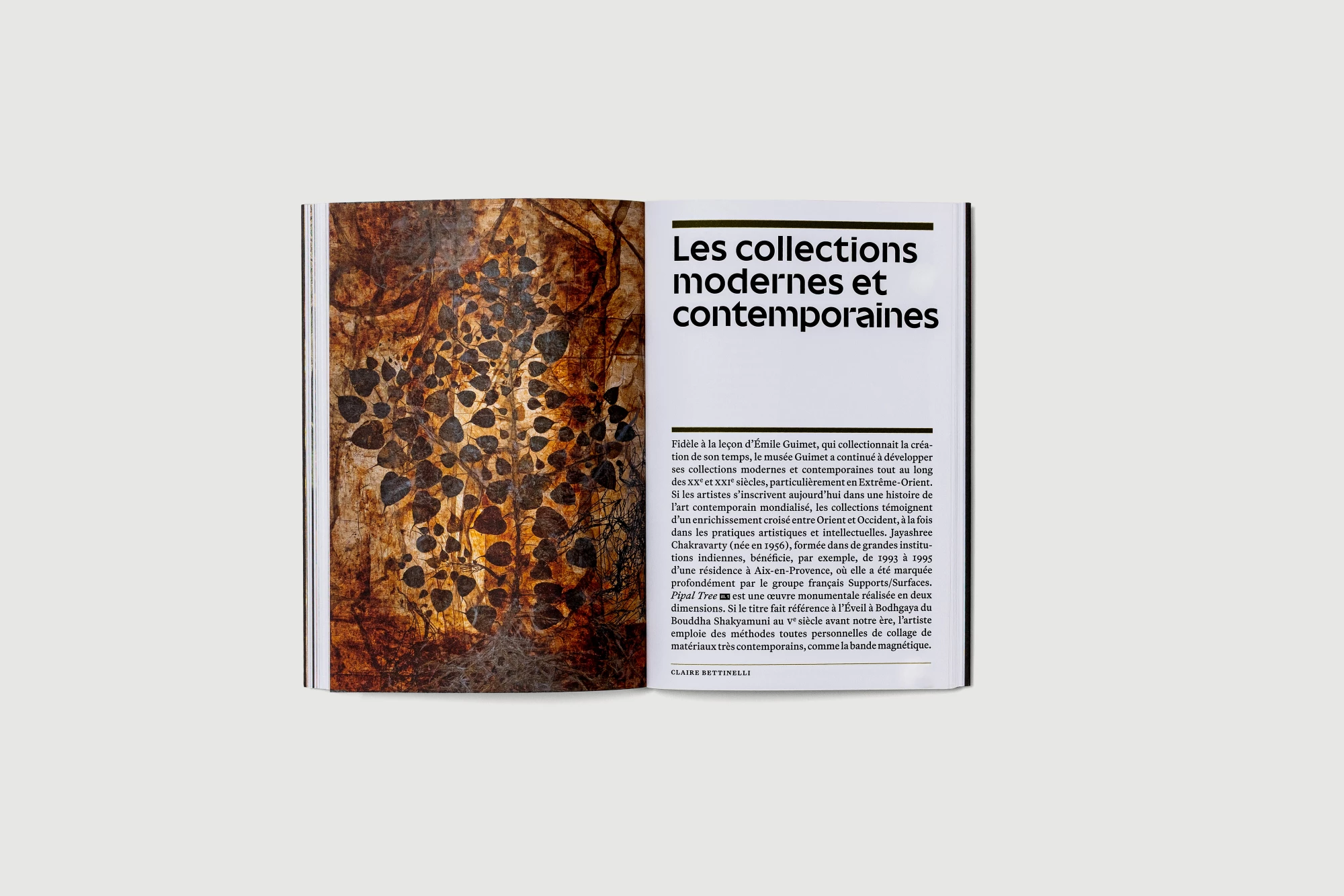 Léo Grunstein - Musée Guimet. Guide des collections, Musée Guimet, GrandPalaisRmn éditions, Édition, 2025