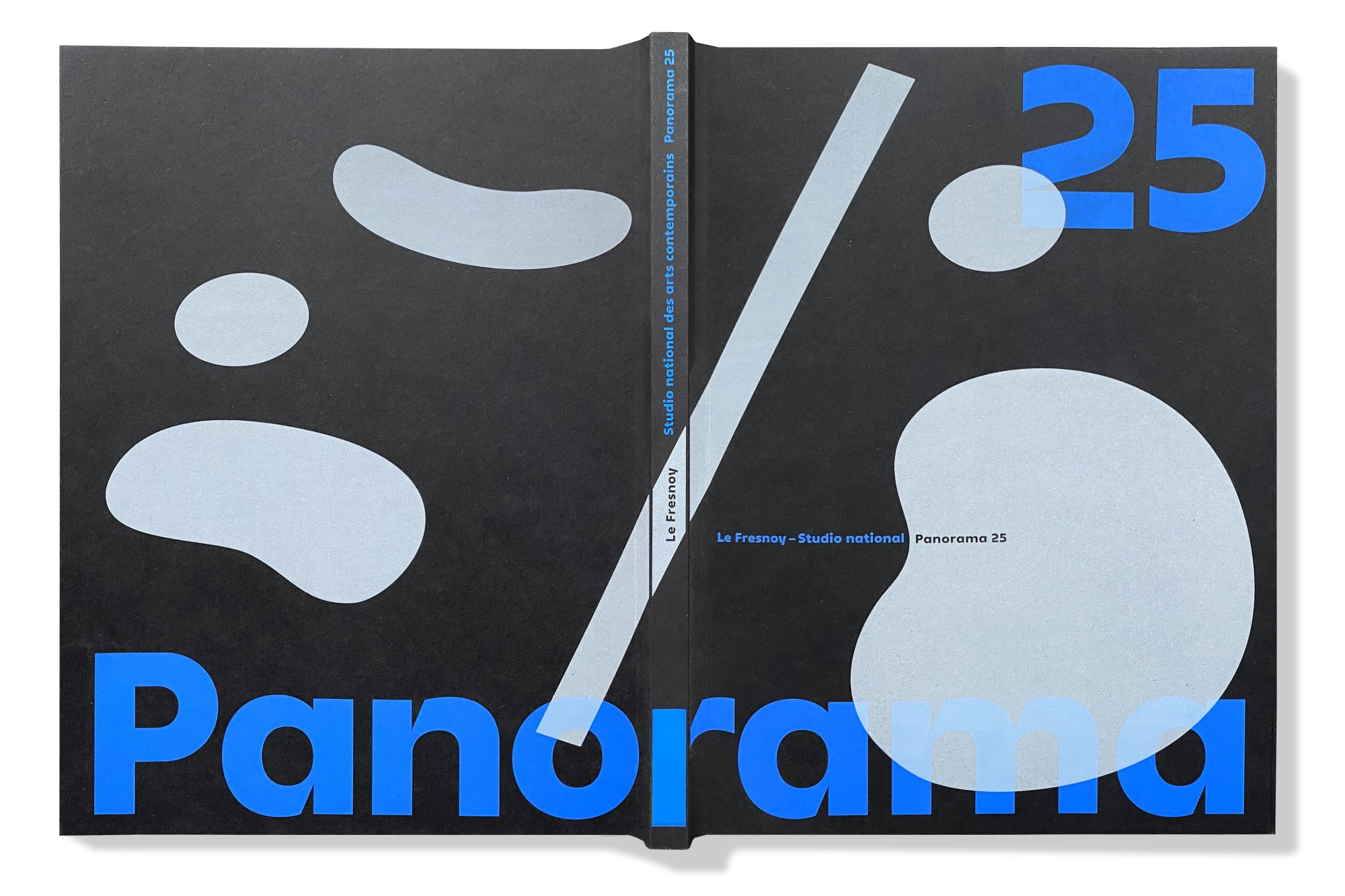 Léo Grunstein - Panorama 25, Le Fresnoy – Studio national des arts contemporains, Publication, 2023