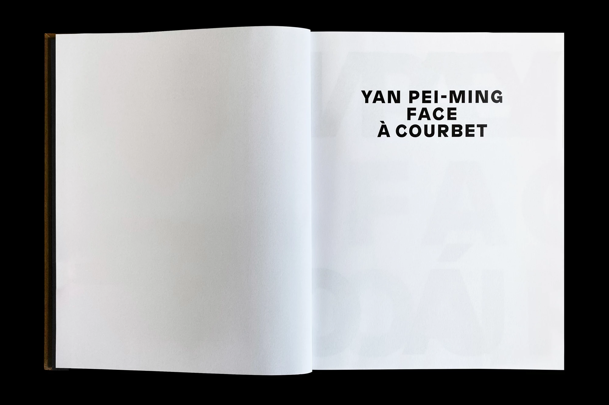 Léo Grunstein - Yan Pei-Ming face à Courbet, Musée Courbet, Ornans, Publication, 2019