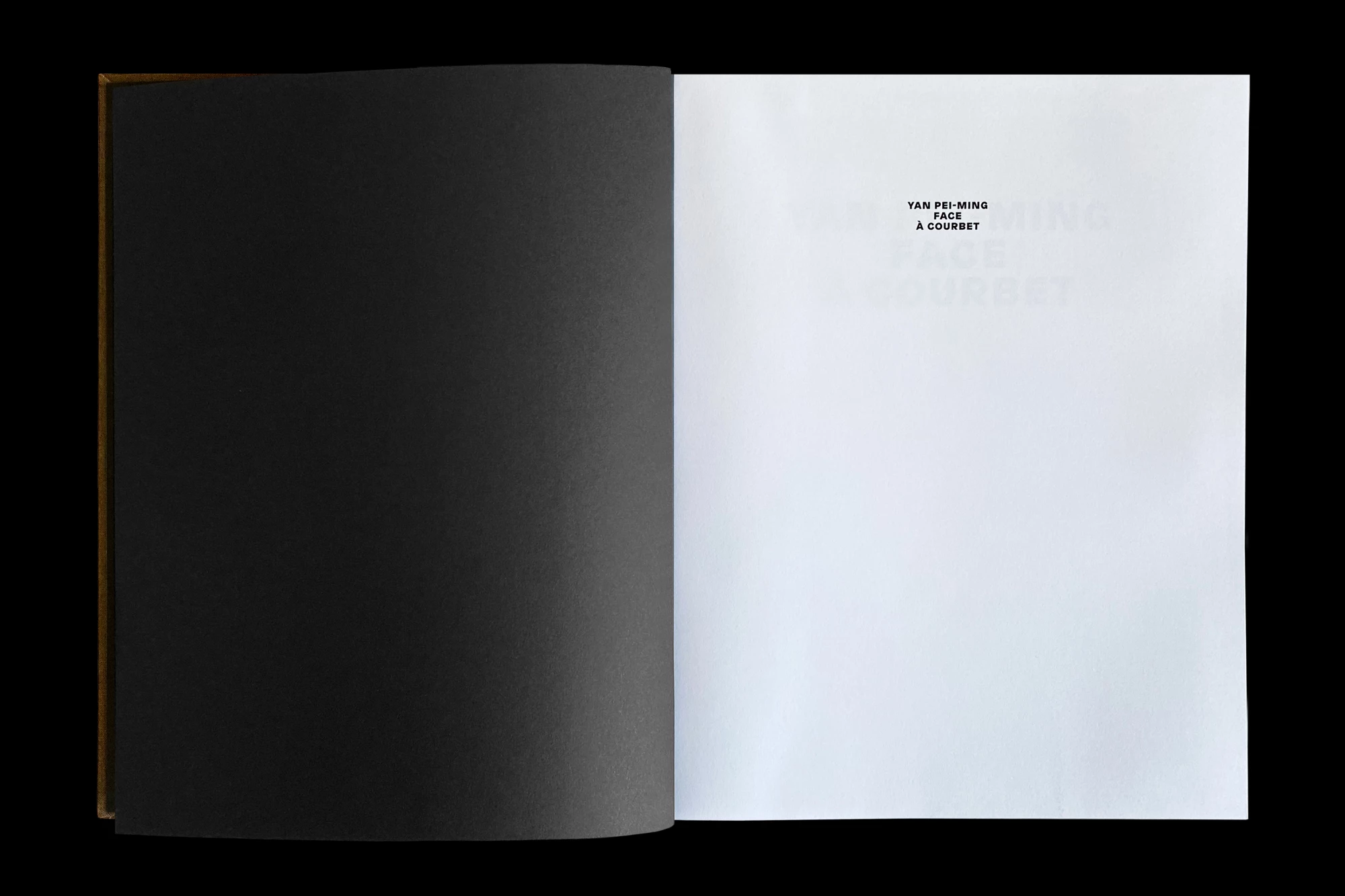 Léo Grunstein - Yan Pei-Ming face à Courbet, Musée Courbet, Ornans, Publication, 2019