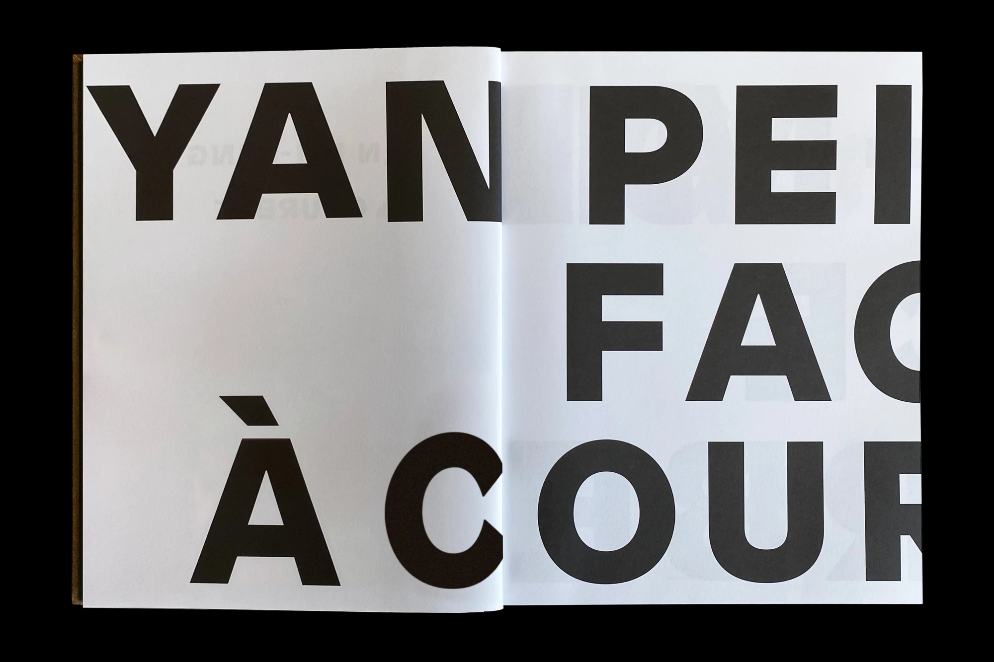 Léo Grunstein - Yan Pei-Ming face à Courbet, Musée Courbet, Ornans, Publication, 2019