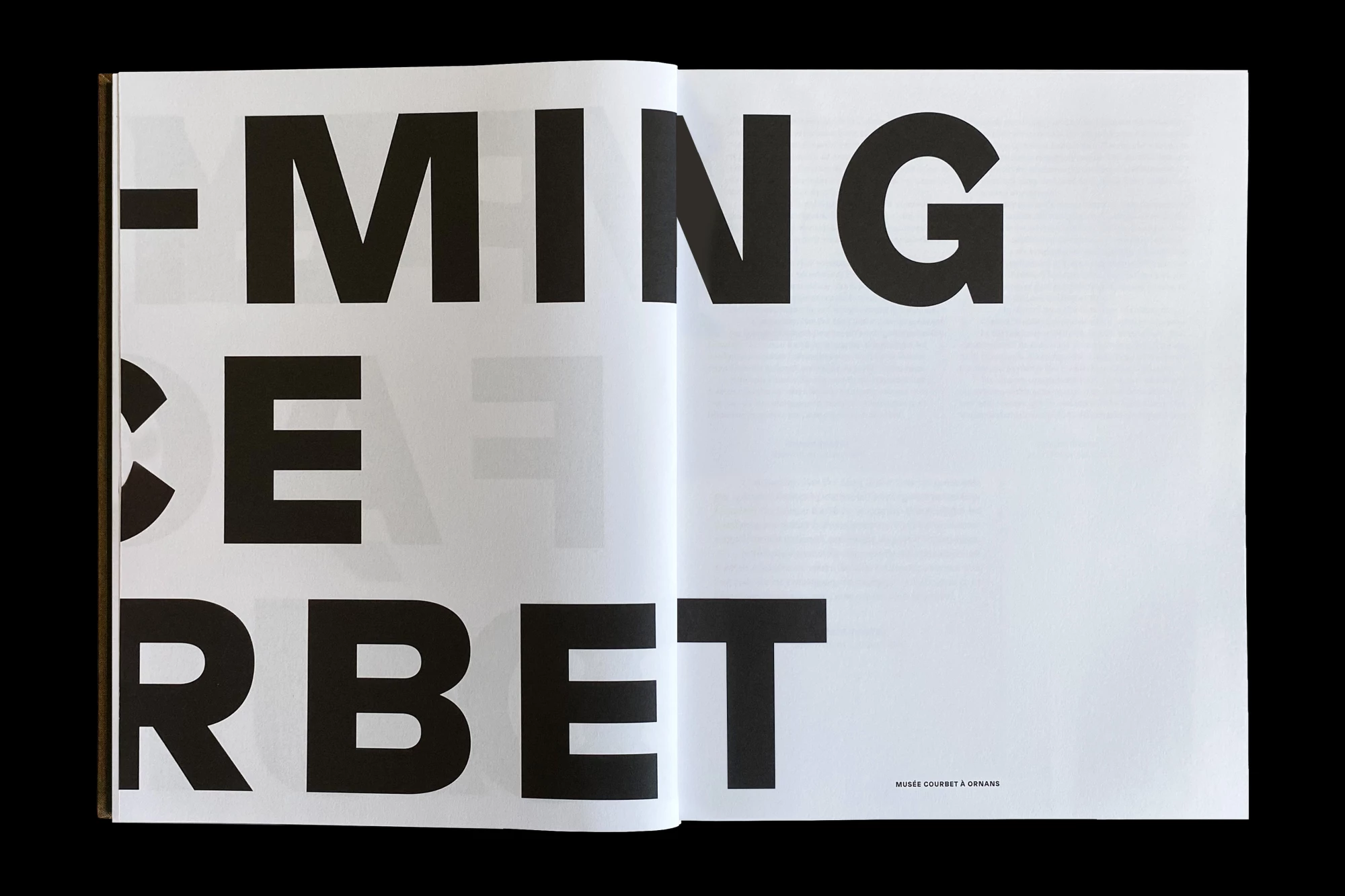 Léo Grunstein - Yan Pei-Ming face à Courbet, Musée Courbet, Ornans, Publication, 2019
